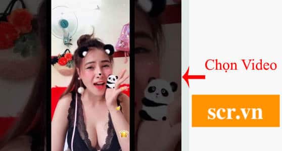 Chọn Video