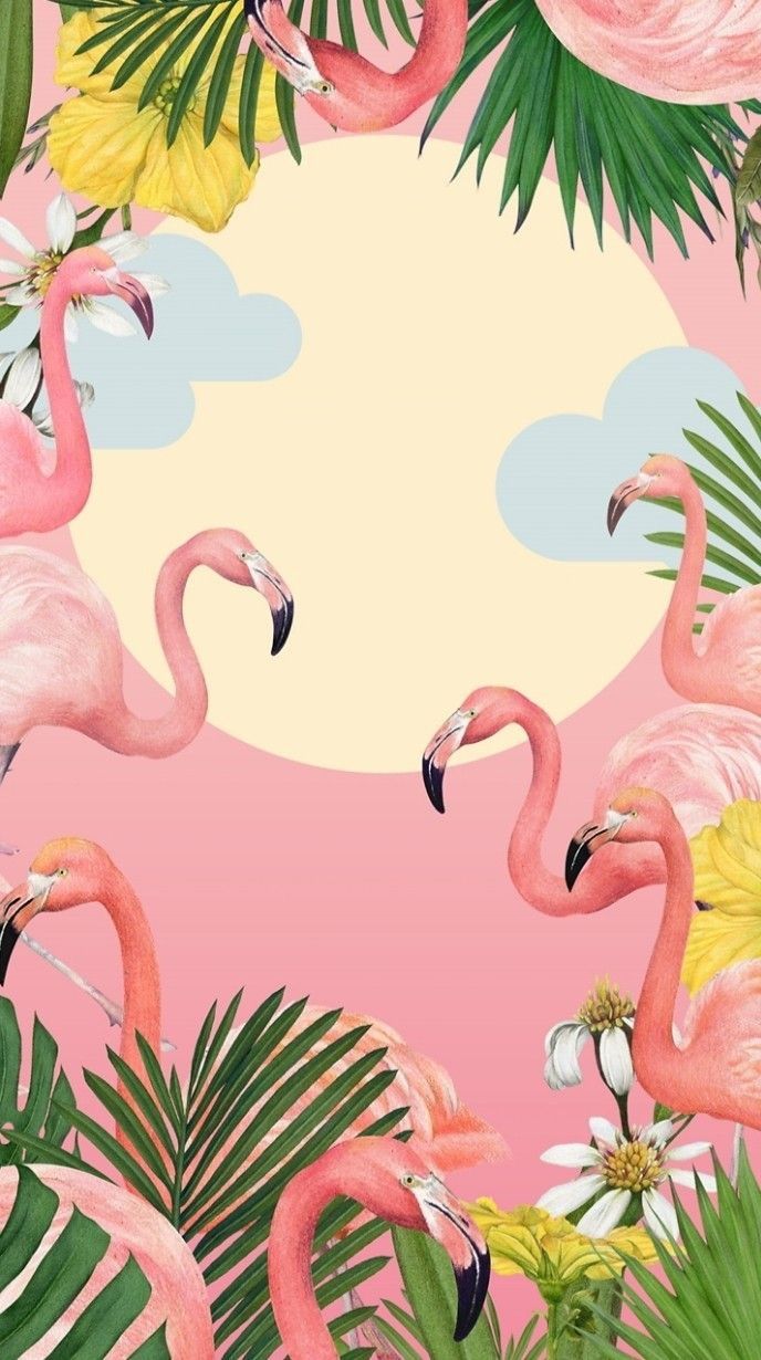 HD Flamingo Bird Wallpaper - Ứng dụng trên Google Play