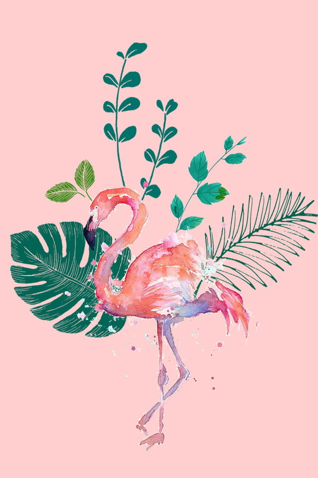 Background chim hồng hạc đẹp