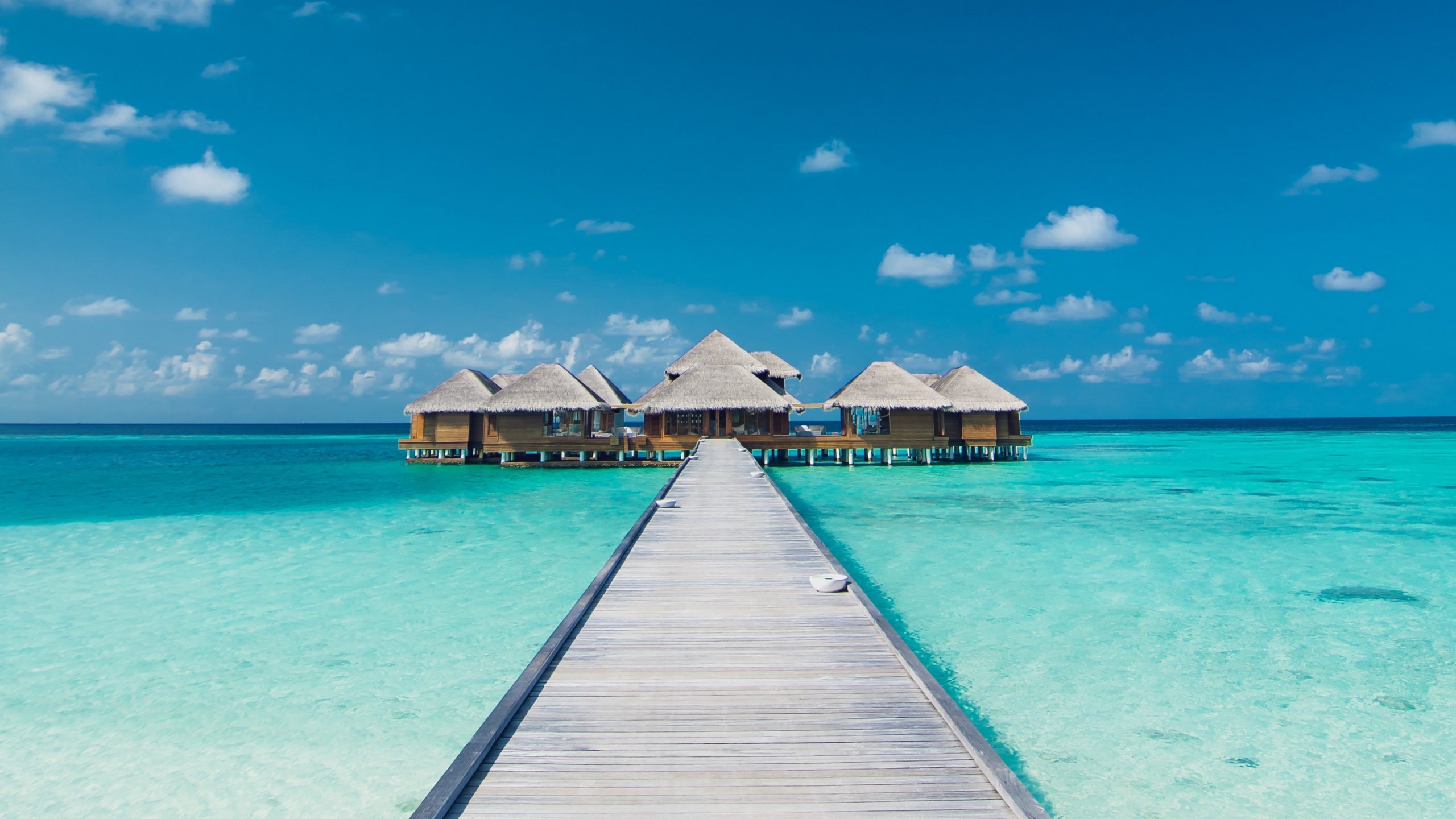 Biển trong vắt 4k