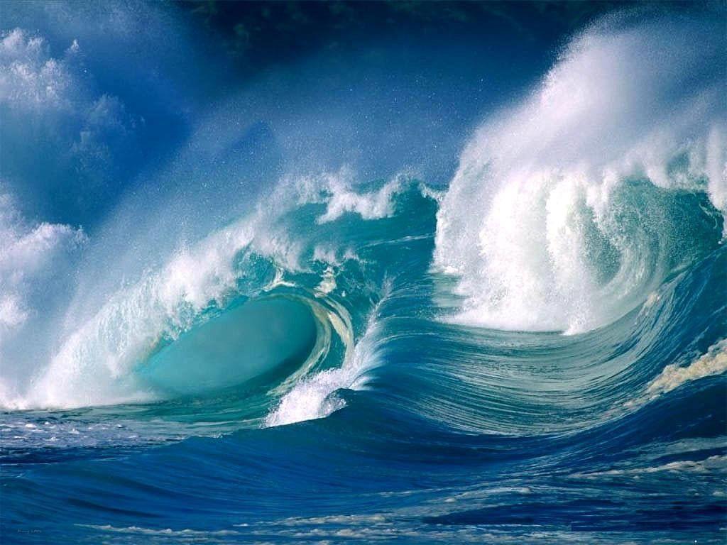 Cơn sóng biển dâng trào mạnh mẽ