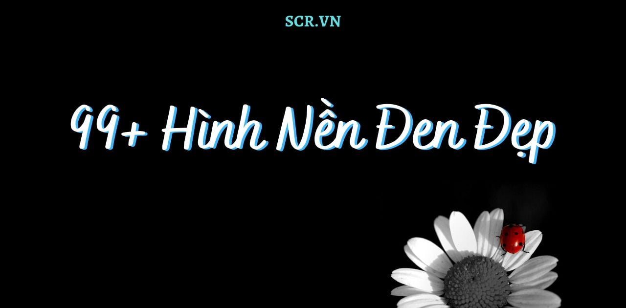 Hình nền đen đẹp - Tổng hợp hình nền màu đen đẹp nhất | Dark black  wallpaper, Black hd wallpaper, Cool black wallpaper