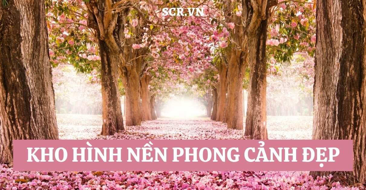 Ảnh Nền Powerpoint Đẹp ❤️ Background PPT Chuyên Nghiệp