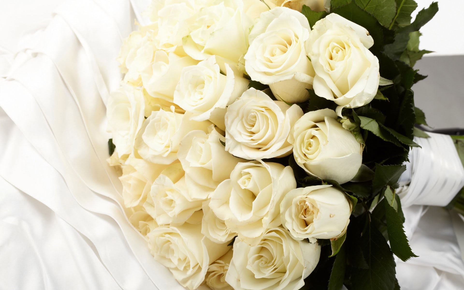 Bó hồng trắng xinh đẹp nhẹ nhàng