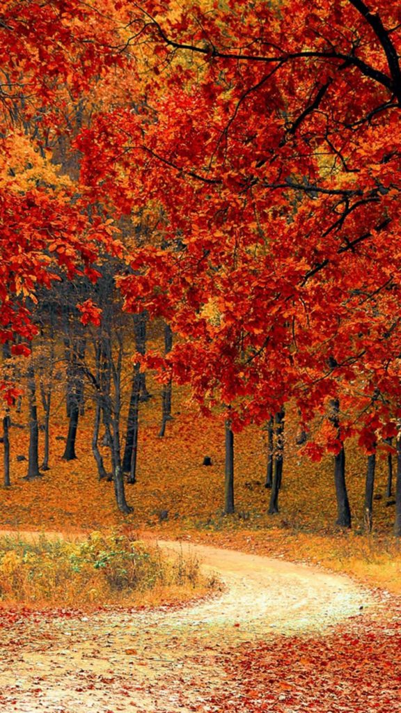 Bộ ảnh nền lá mùa thu dành cho iPhone