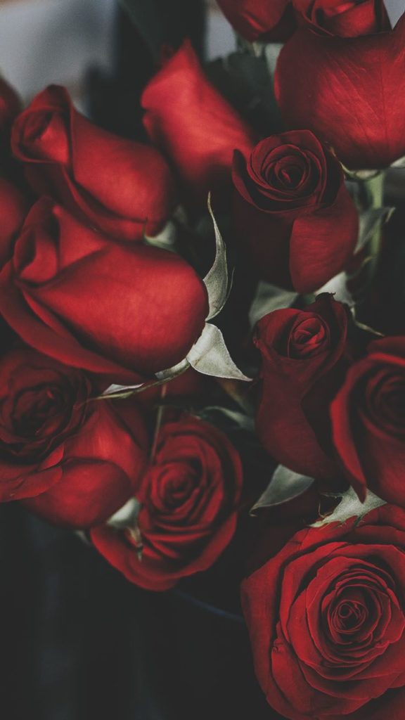 Những bông hồng tràn hấp dẫn