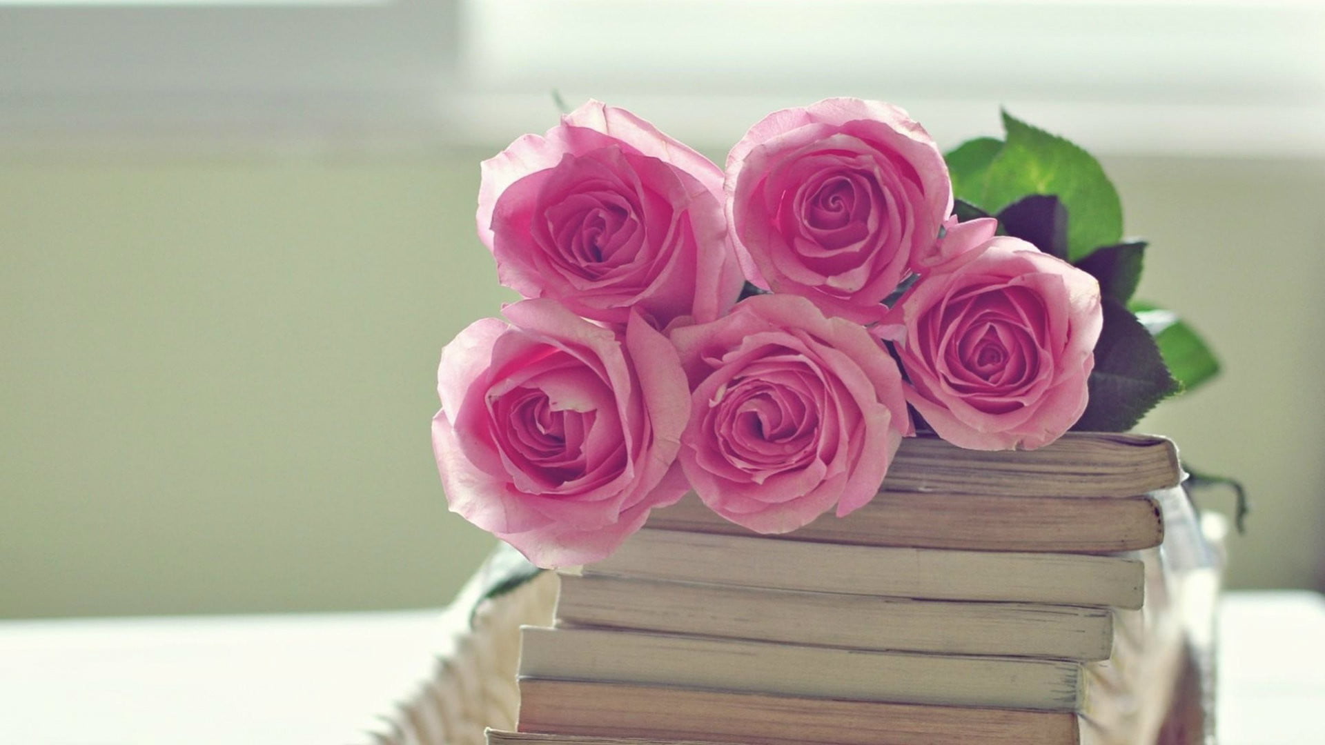 Những cành hoa hồng romantic vô cùng