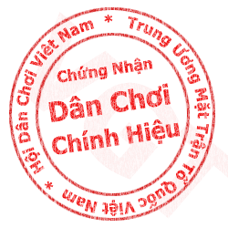 ảnh avatar chứng nhận dân chơi chính hiệu