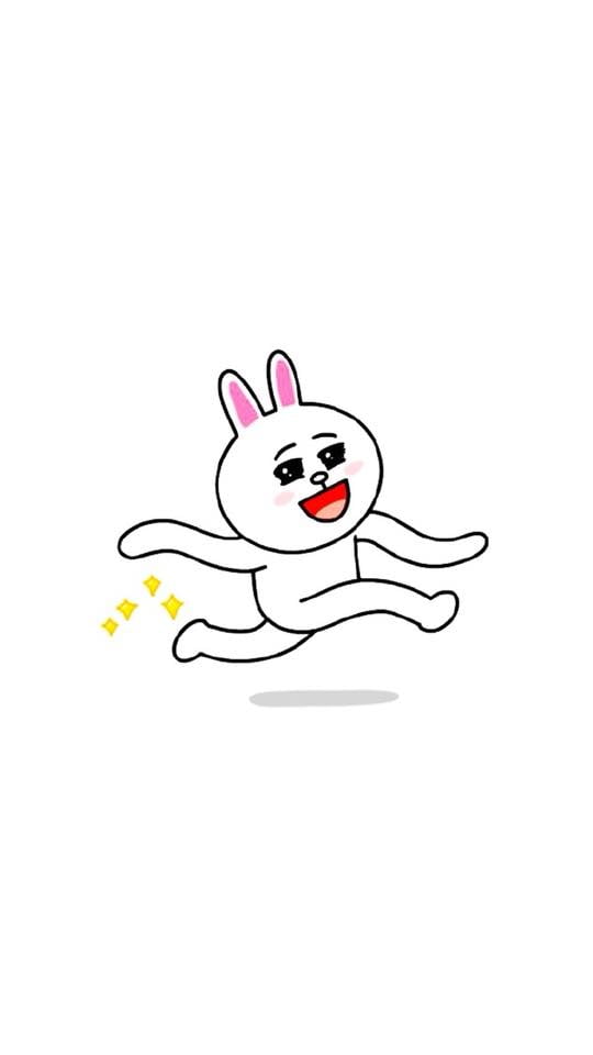 hình nền thỏ trắng hài hước
