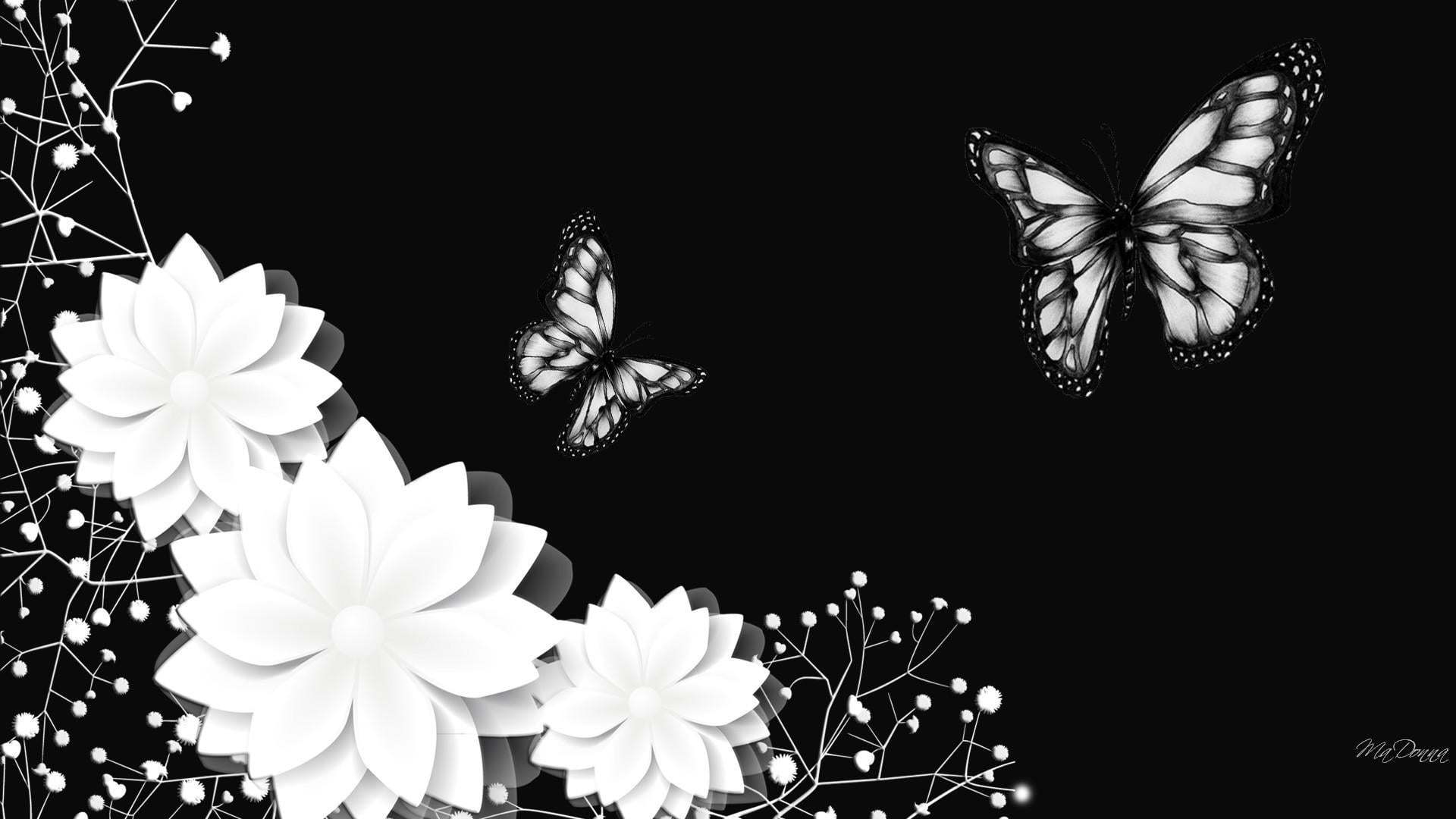 ảnh nền bướm và hoa
