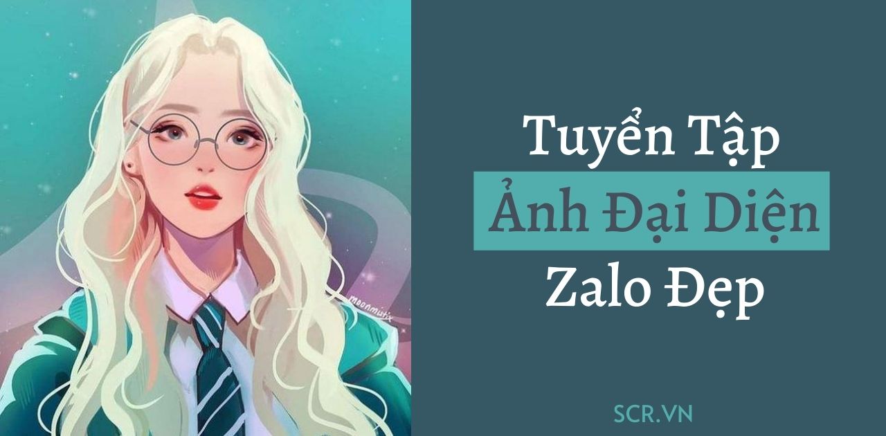 Top 99 về ảnh avatar zalo đẹp  damrieduvn