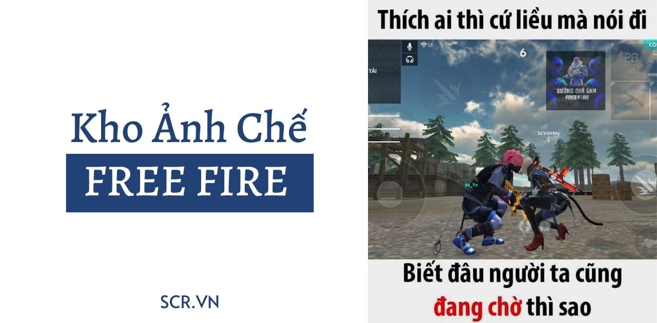 Top 15 ảnh cà khịa free fire hay nhất 2022 - EU-Vietnam Business Network  (EVBN)