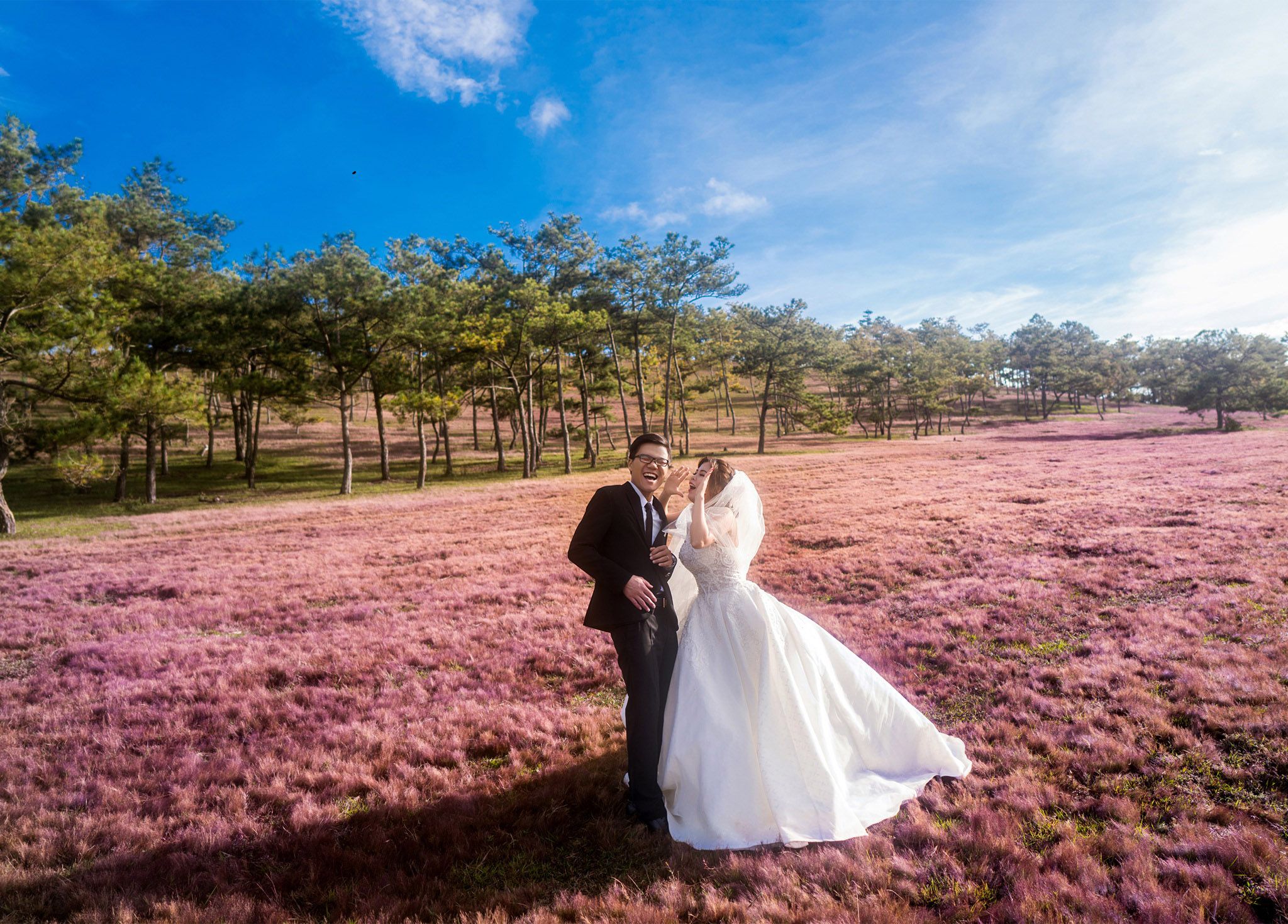 Album cưới ở Đà Lạt tại đồi cỏ hồng