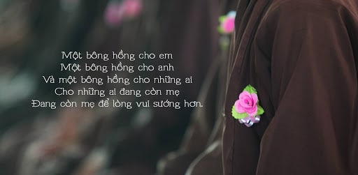 Bông Hồng Cài Áo Lễ Vu Lan Báo Hiếu