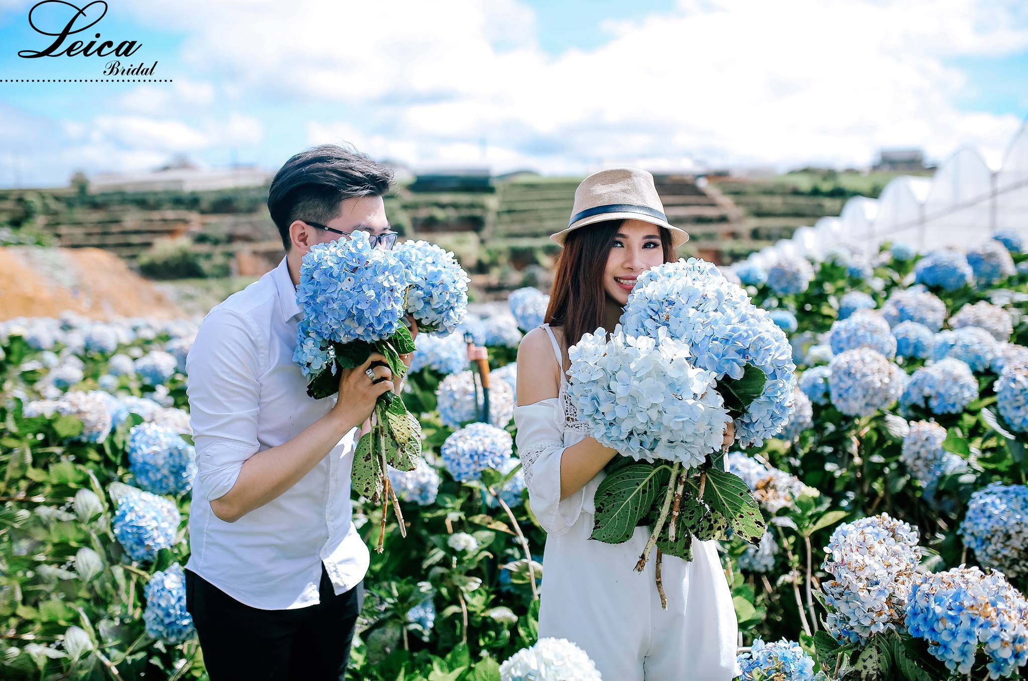 Hình cưới ở Đà Lạt với vườn hoa cẩm tú cầu