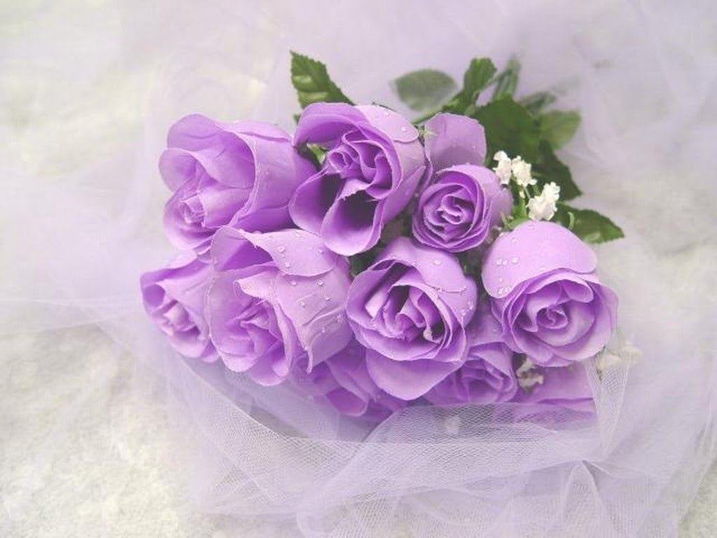 Hình hoa màu tím đẹp