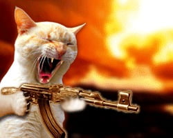 Hình mèo cầm súng cực ngầu