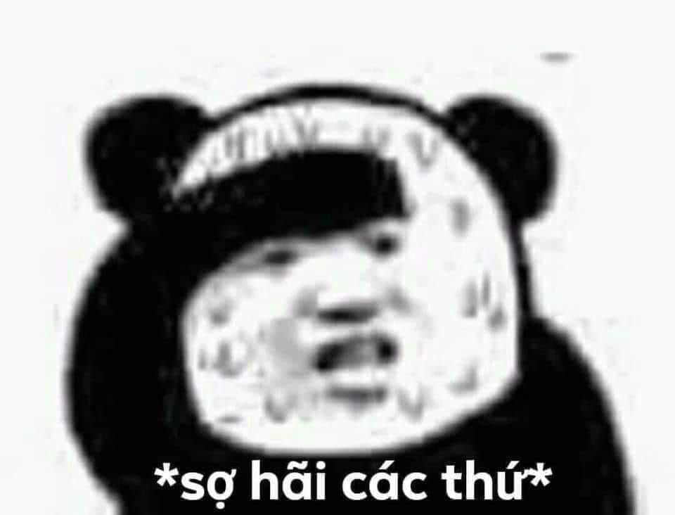 Meme panda cute
