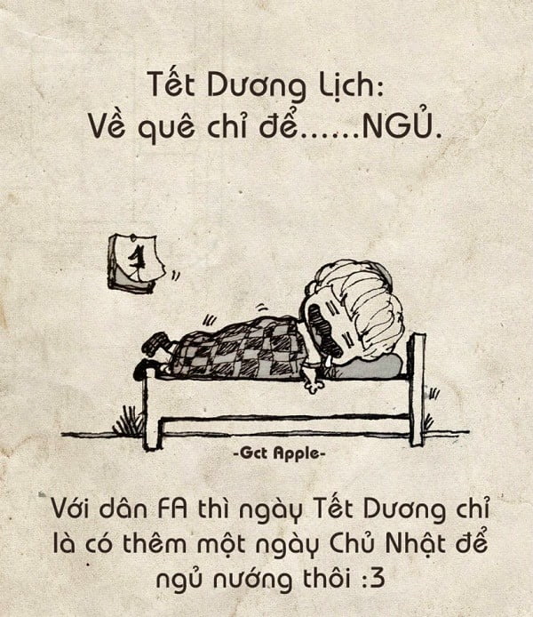 Ngày tết dương lịch đối với FA