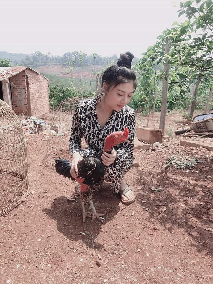 Người đẹp và chiến kê