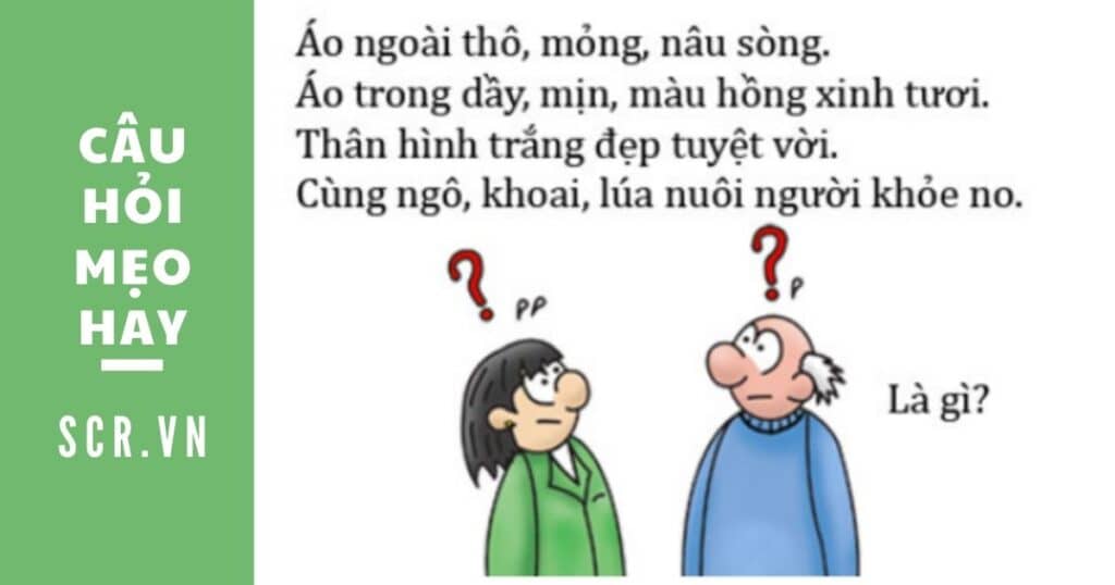 câu hỏi mẹo hay