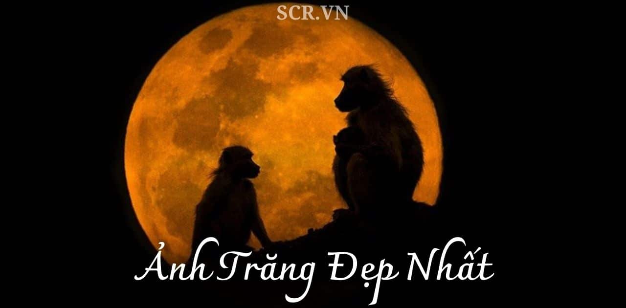 Tìm hiểu hơn 98 hình ảnh ánh trăng buồn mới nhất - thtantai2.edu.vn