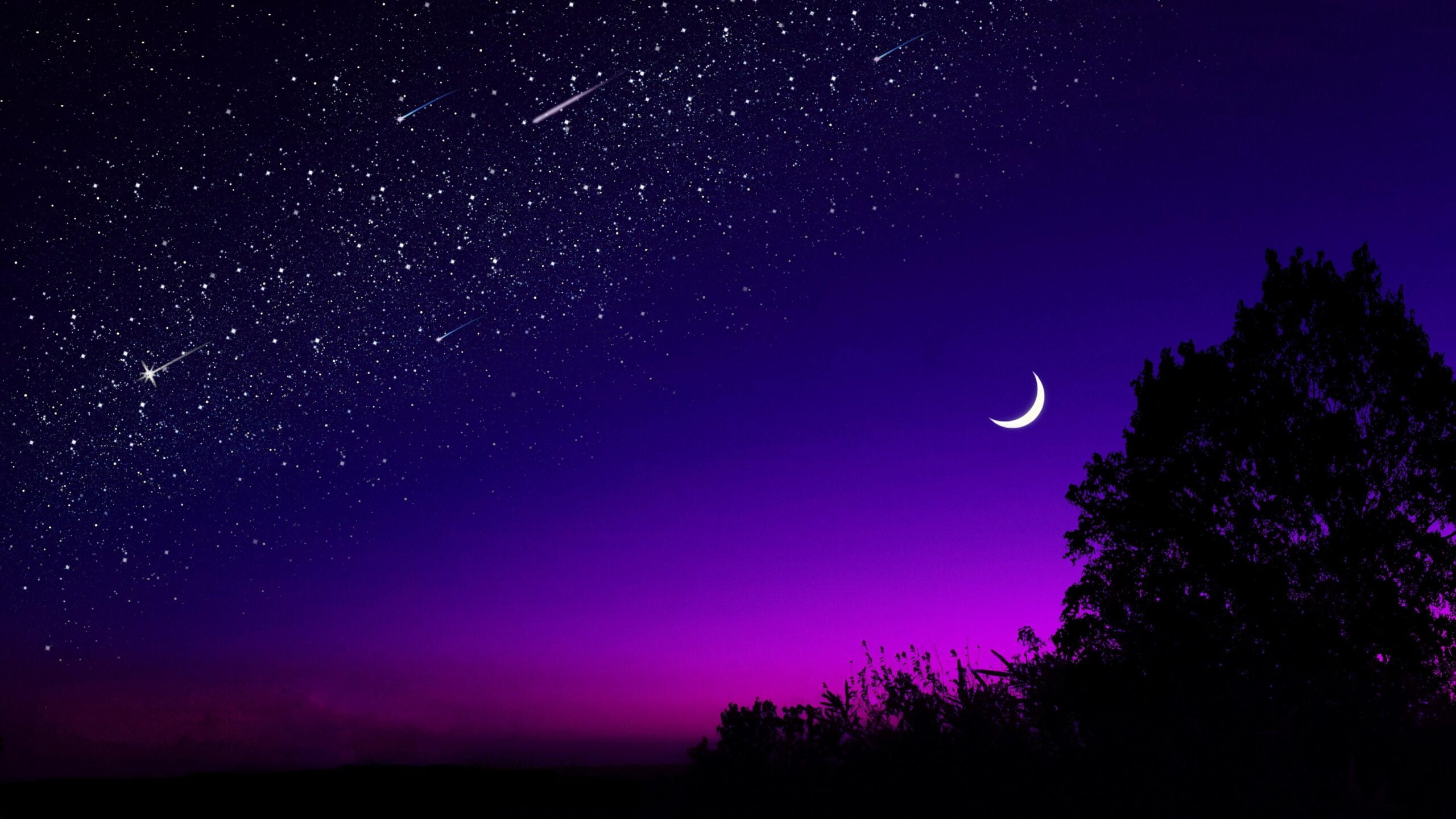 Hình ảnh Mặt Trăng  Vì tinh tú sáng nhất trên bầu trời đêm