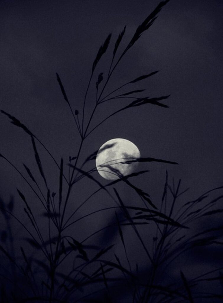 Chi tiết với hơn 100 hình ảnh ngắm trăng buồn mới nhất thtantai2eduvn