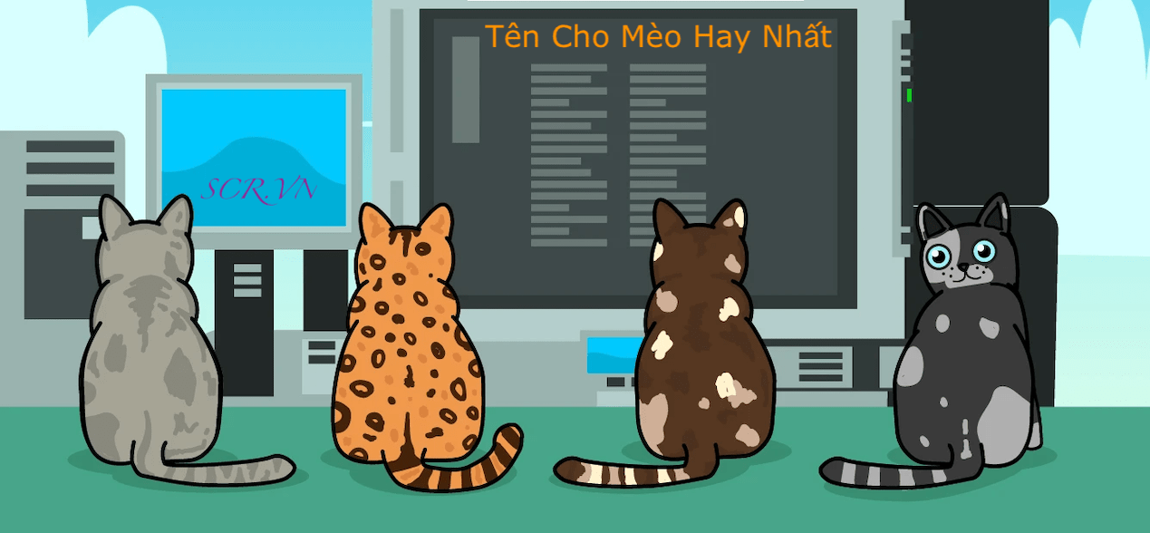 Đặt Tên Cho Mèo Hay Nhất 2022 ❤️ 1001 Tên Mèo Bựa Ngầu