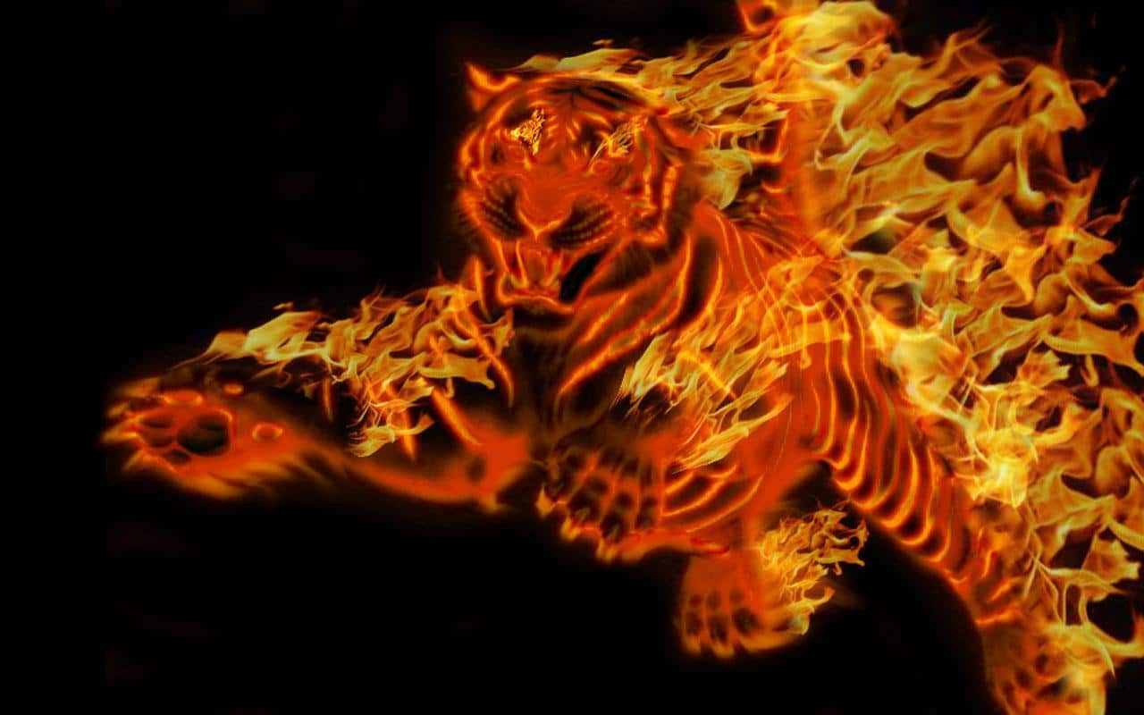 Hình hổ lửa tiger 3d