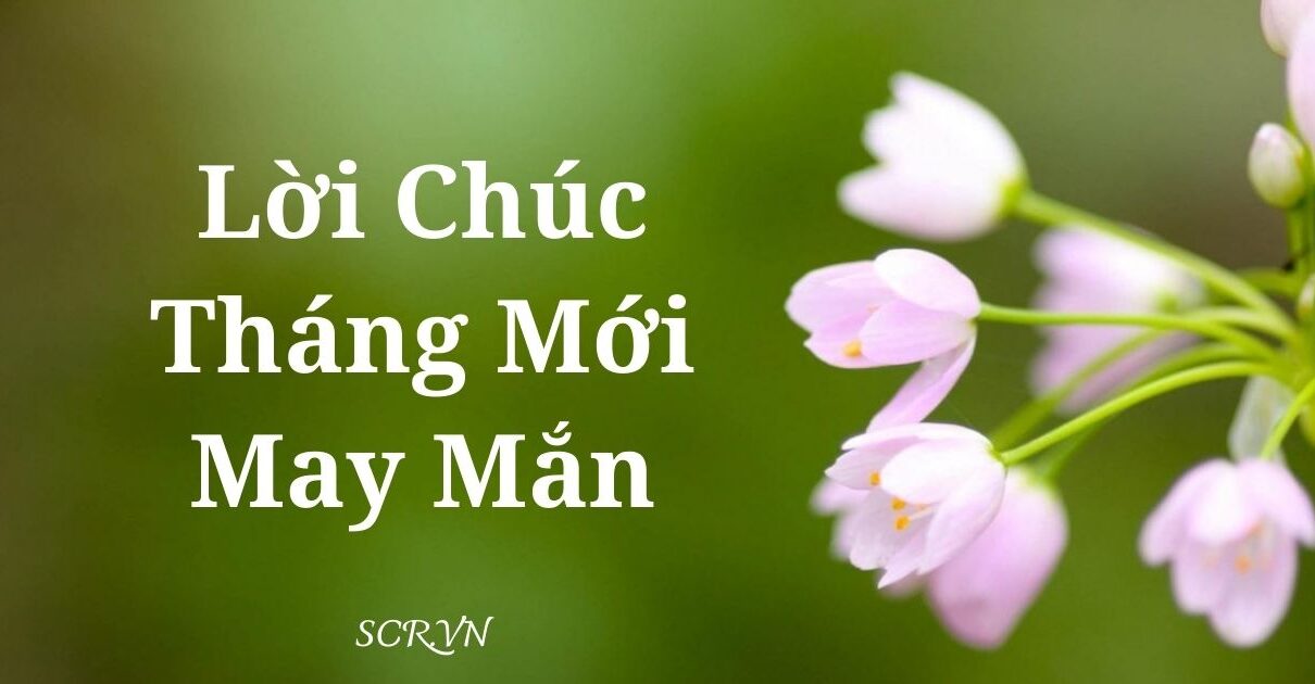 LOI CHUC THANG MOI MAY MAN