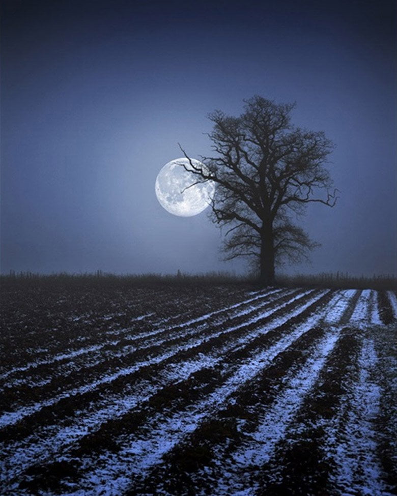 Top 13 Bài văn tả một đêm trăng đẹp hay nhất Toplistvn