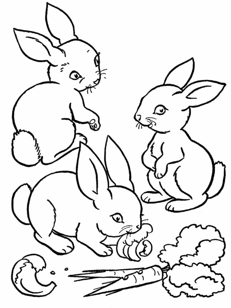 Tranh tô màu: Con thỏ | Mầm Non Tràng An