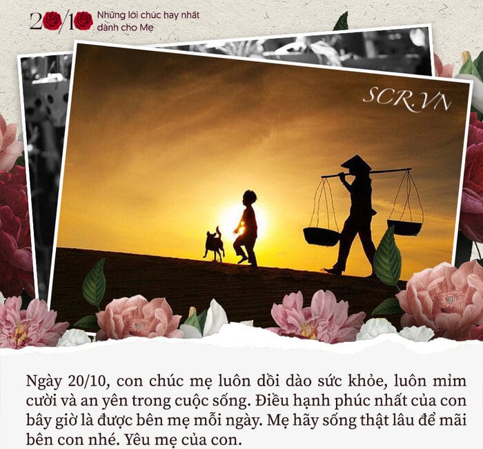 stt chúc 20 10 cho mẹ hay nhất