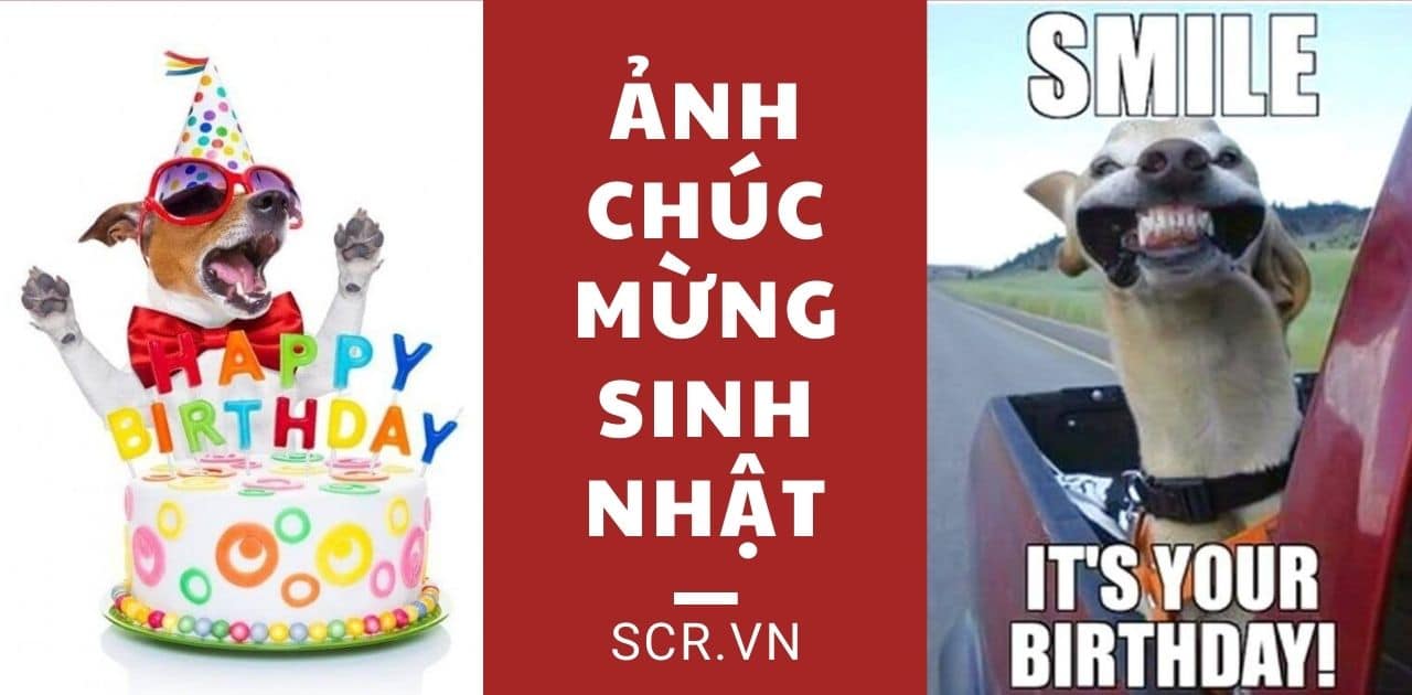 25 bài thơ chúc mừng sinh nhật bạn thân lầy bá đạo hài hước