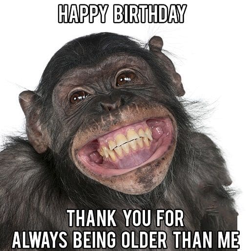 Ảnh chú khỉ chúc mừng sinh nhật bựa