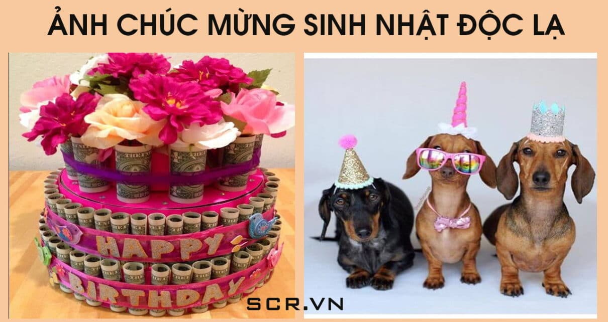 Ảnh chế sinh nhật: Bạn muốn tạo ra một bức ảnh chế sinh nhật để gửi đến người thân hay bạn bè của mình? Thật tuyệt vời, vì đây là cách tuyệt vời để mang niềm vui đến cho mọi người. Nhấp chuột để xem những bức ảnh chế độc đáo nhất!