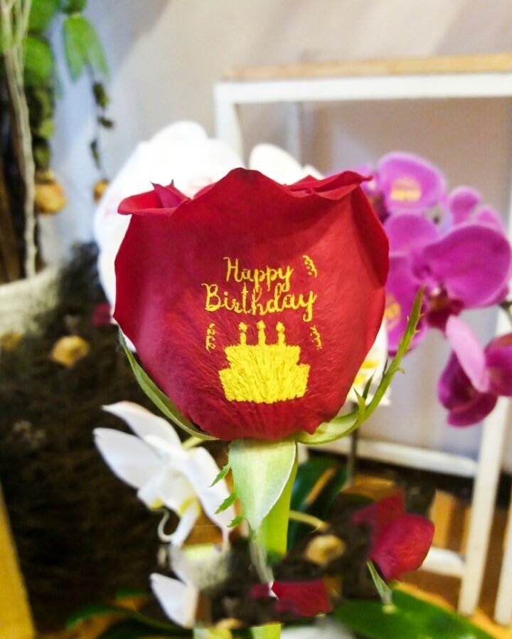Bông hoa hồng dễ thương và đơn giản tặng sinh nhật con gái
