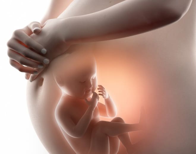Bức hình về em bé trong bụng mẹ