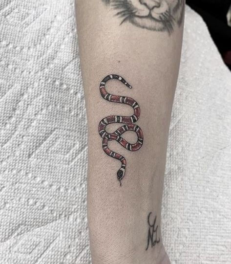 Các đường vân trên rắn giống thương hiệu thời trang gucci nổi tiếng