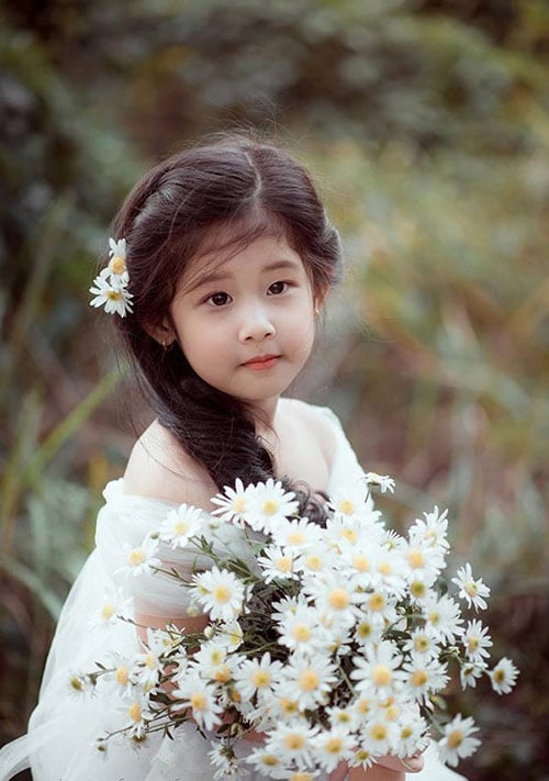 Cô bé Việt Nam chụp ảnh cùng hoa cúc họa mi