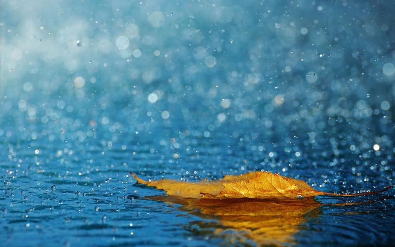 Top 101 hình ảnh cô gái buồn trong mưa đẹp xinh nhất