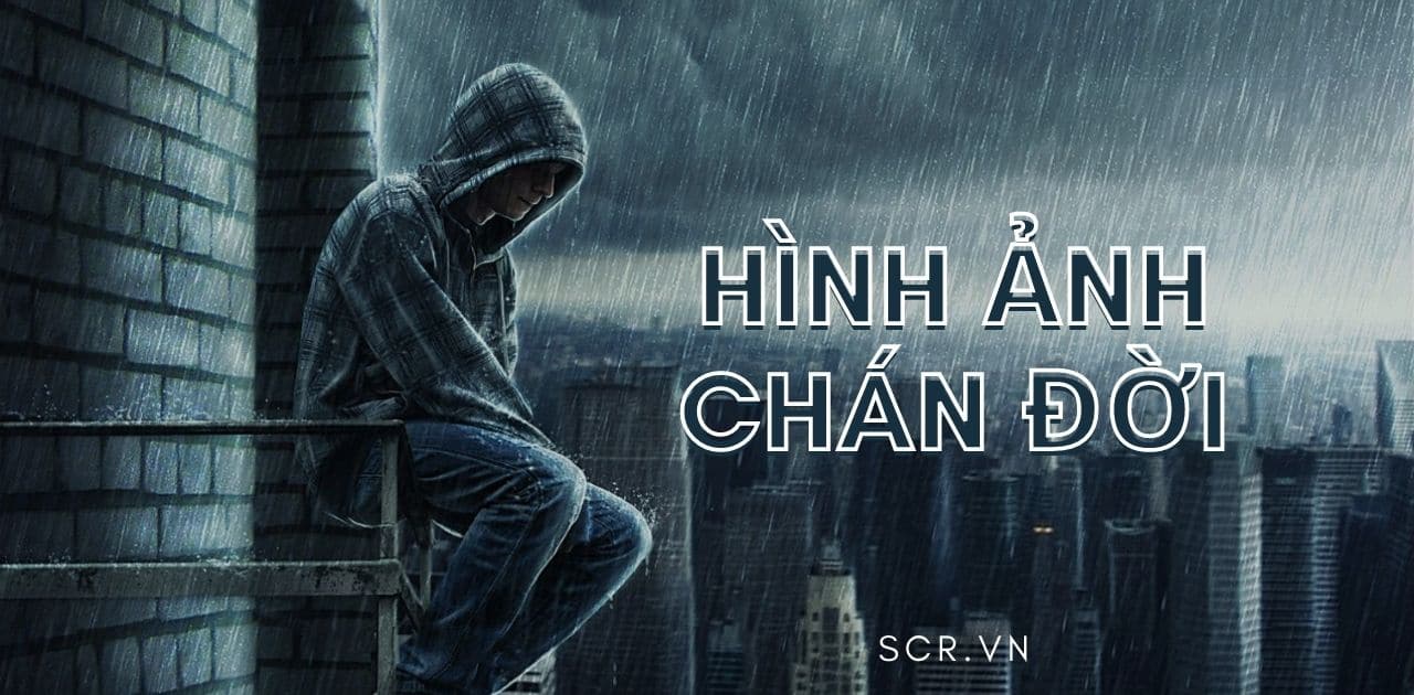 Top 11 hình ảnh chán đời hài hước mới nhất năm 2022 - EU-Vietnam ...