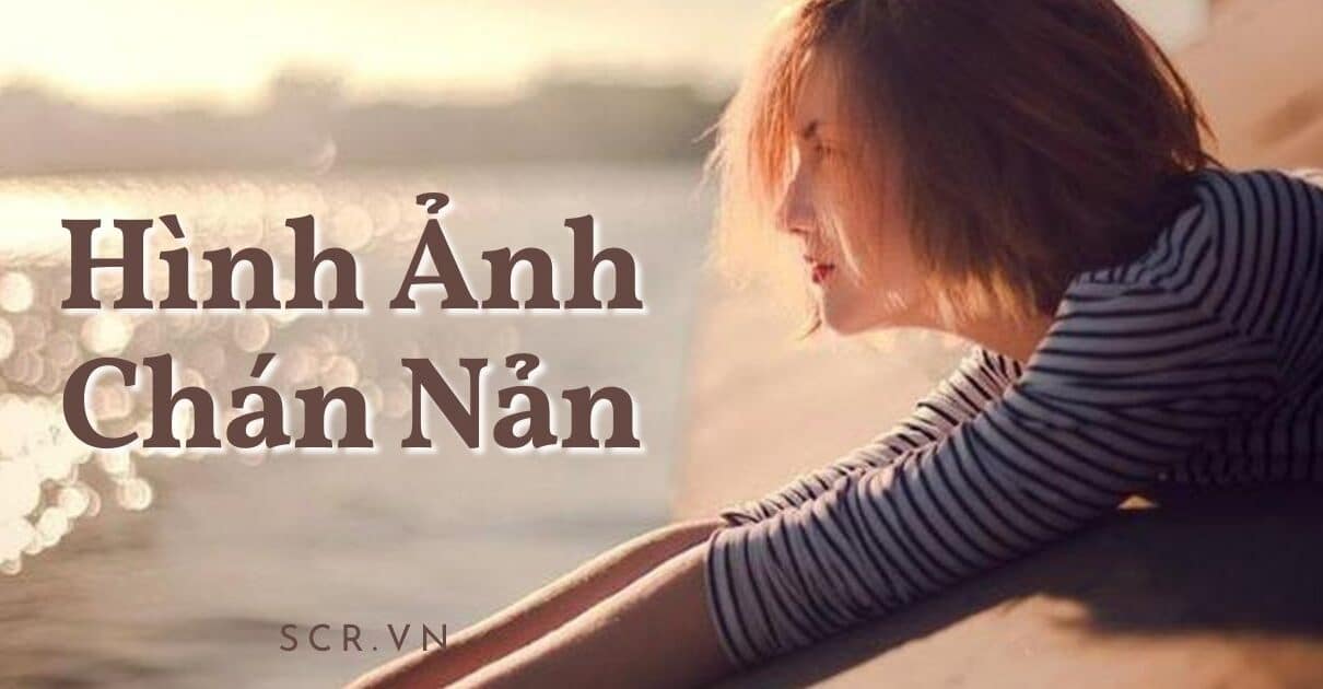 HINH ANH CHAN NAN