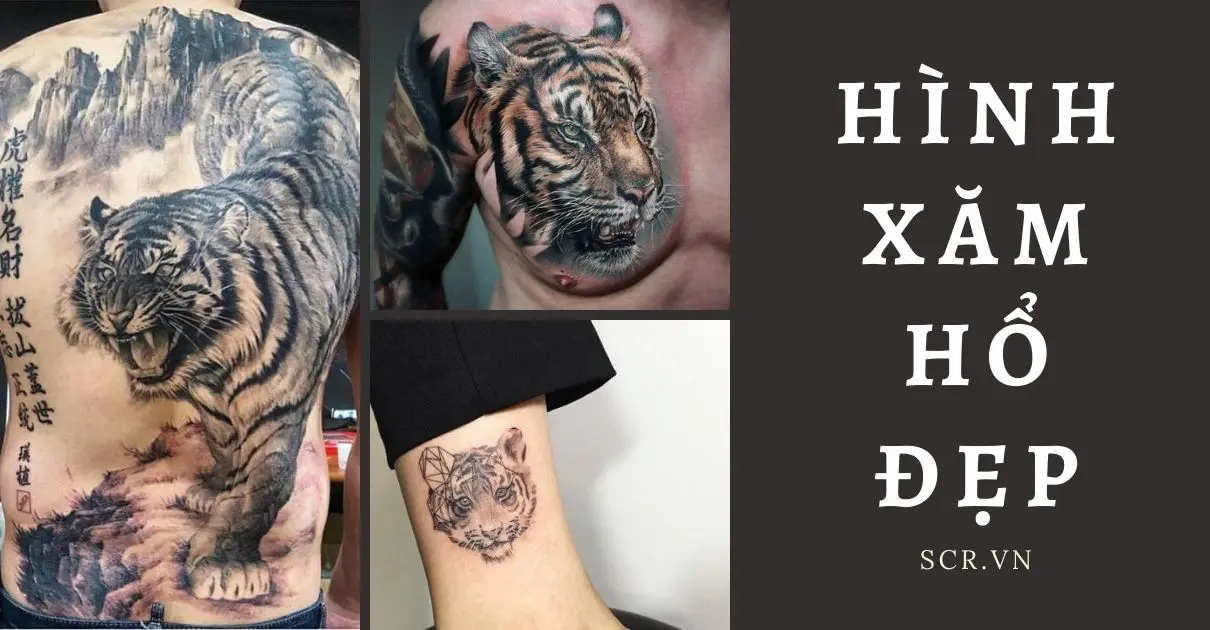 Hinh XÄƒm Há»• Ä'áº¹p Cho Nam Ná»¯ Tattoo XÄƒm Há»• Mini Cute