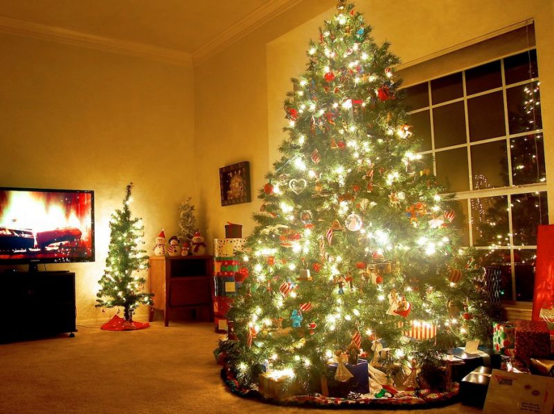 Hình cây thông Noel trong nhà ấm áp