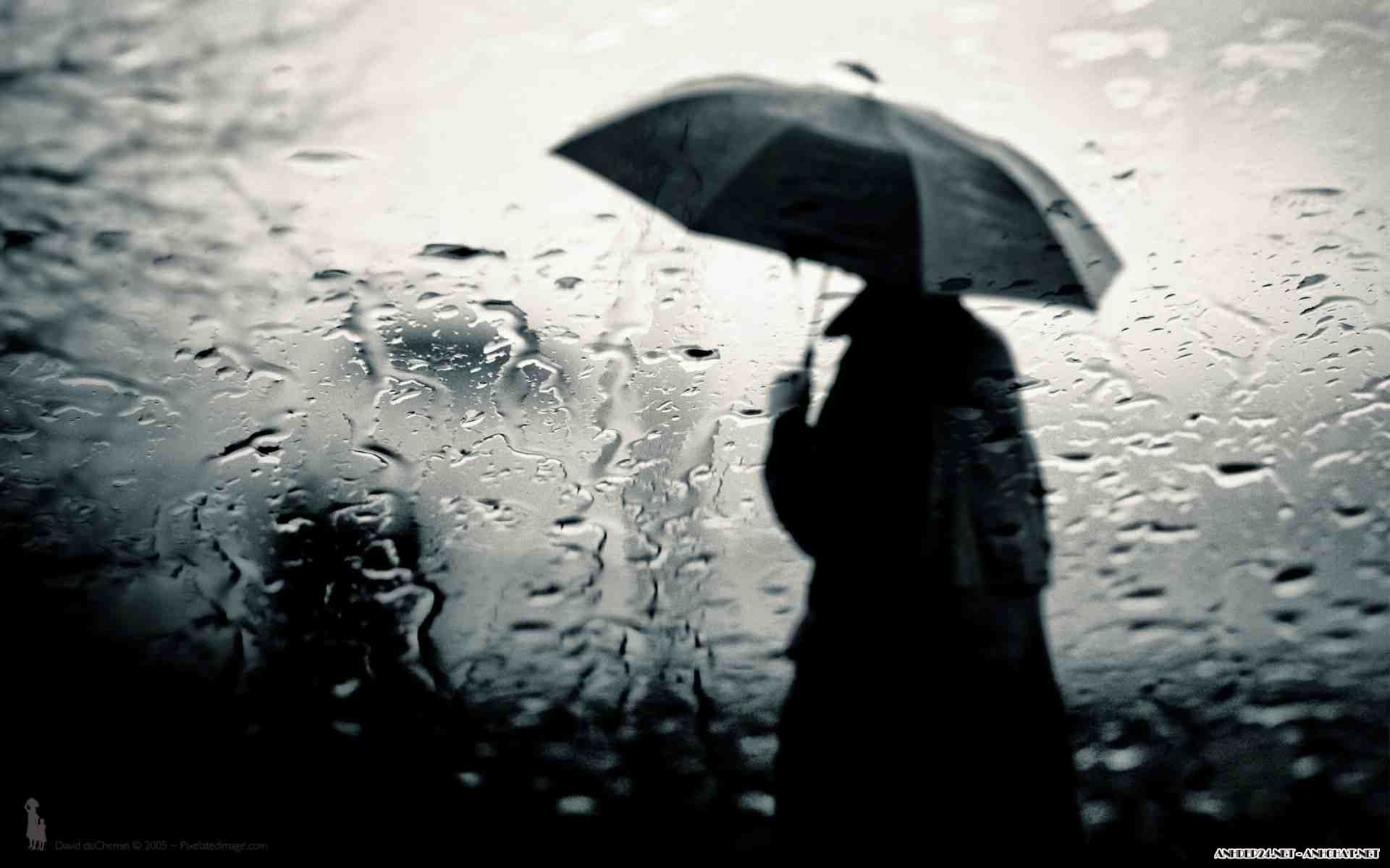 Hình chàng trai vắt mặc dù cút nhập mưa