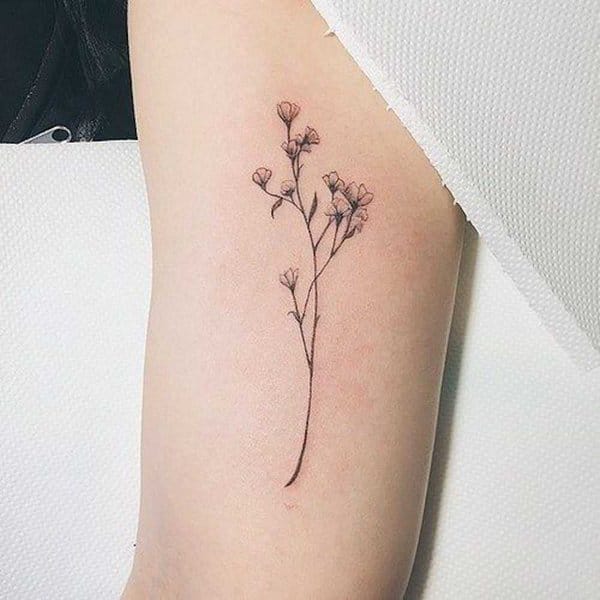 Hình tattoo mini ở bắp tay cho nữ