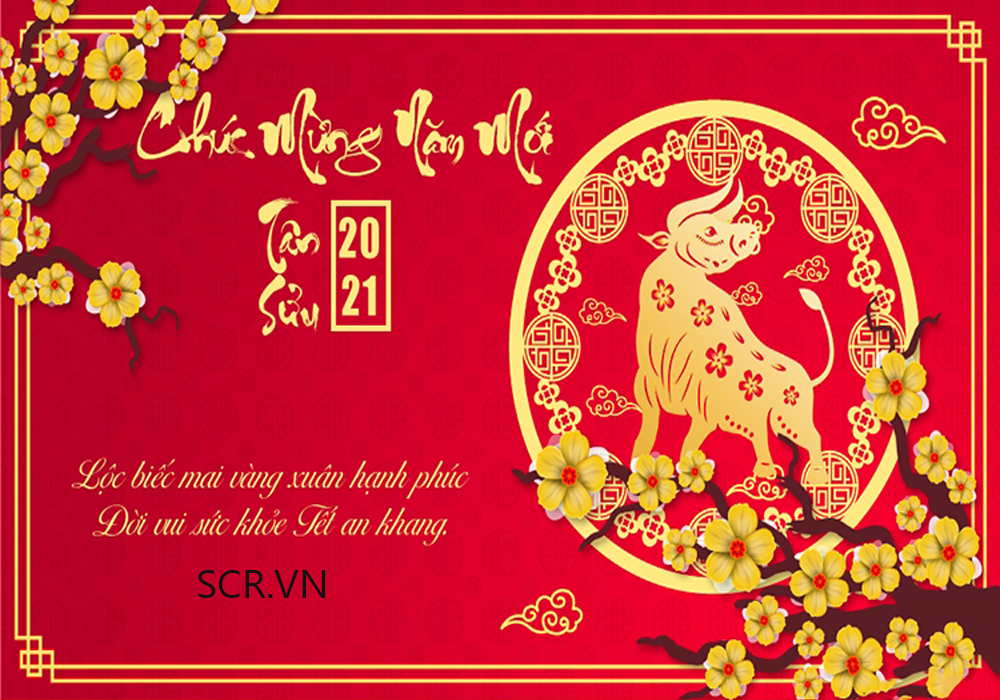 Lời chúc Tết hay và đặc sắc