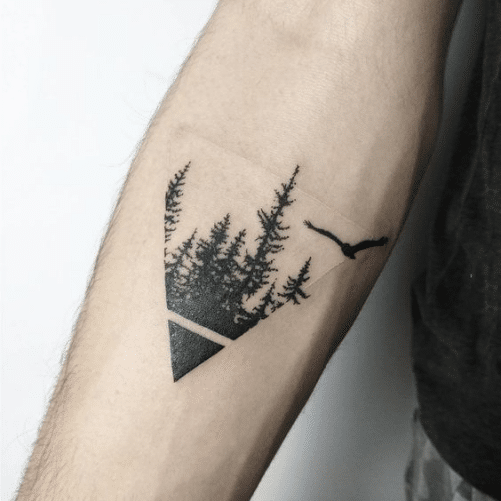 Mẫu tattoo tam giác và cây cỏ đầy tính nghệ thuật dành cho phái mạnh